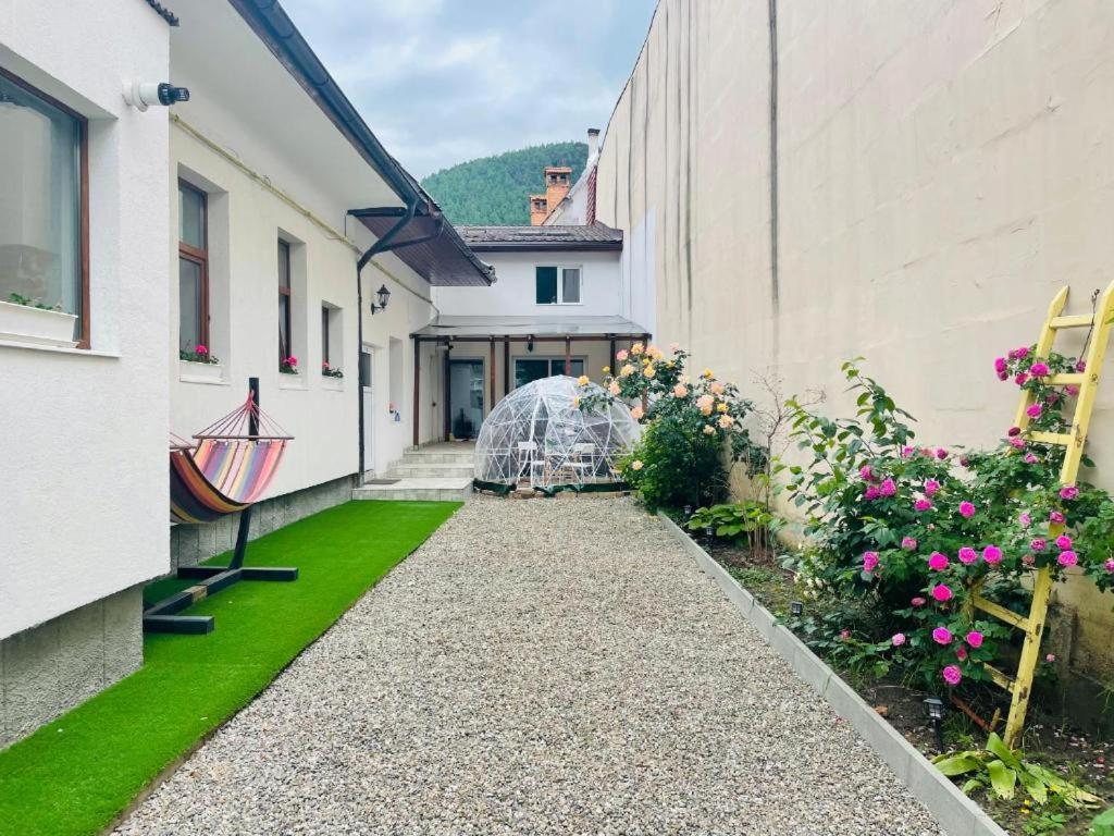 Schei Brasov-скей Apartment Brașov